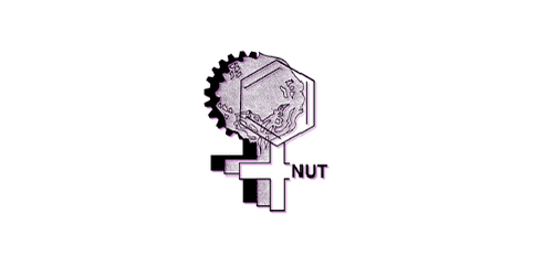 © NUT – Frauen in Naturwissenschaft und Technik 